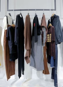 司徒靜的服裝生意 從批發走向品牌化，解鎖服裝行業機遇